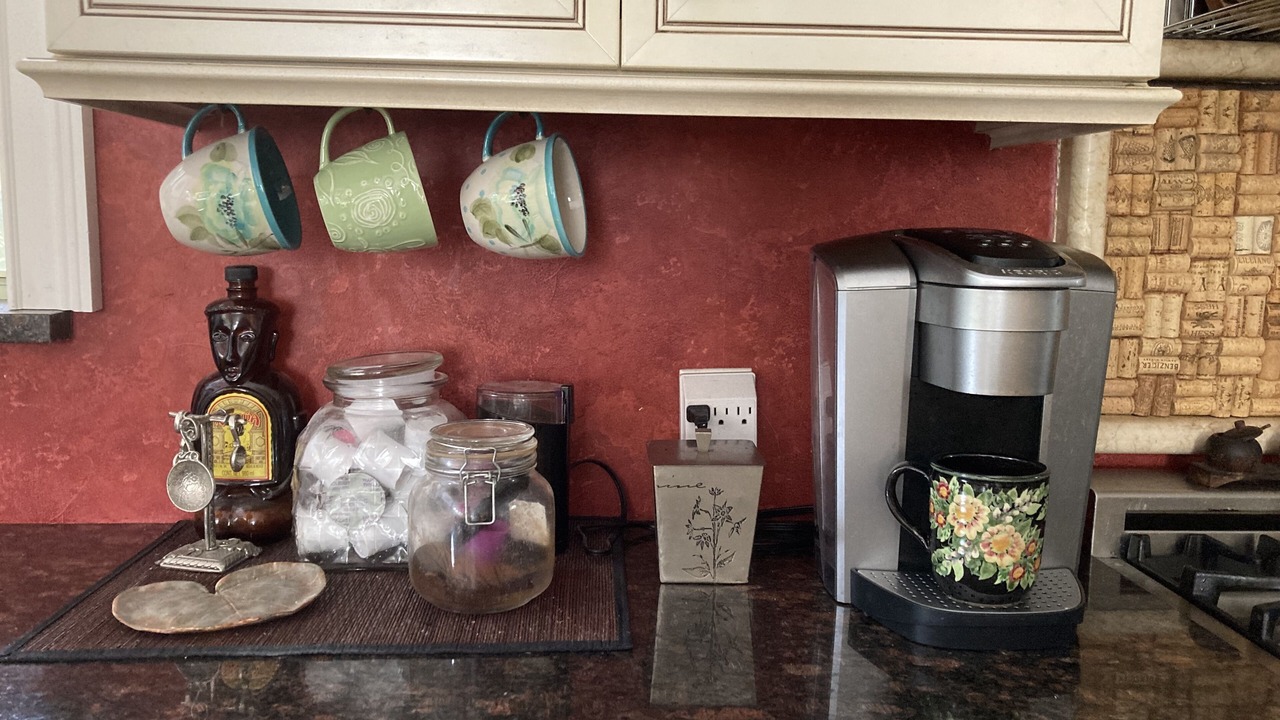 Photo of Kitchen in Davis Islands