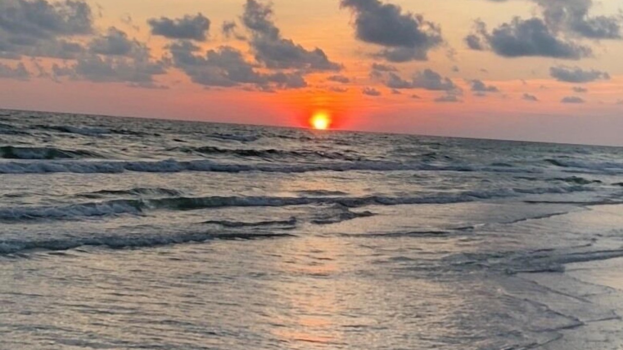 Photo of Others in North Redington Beach