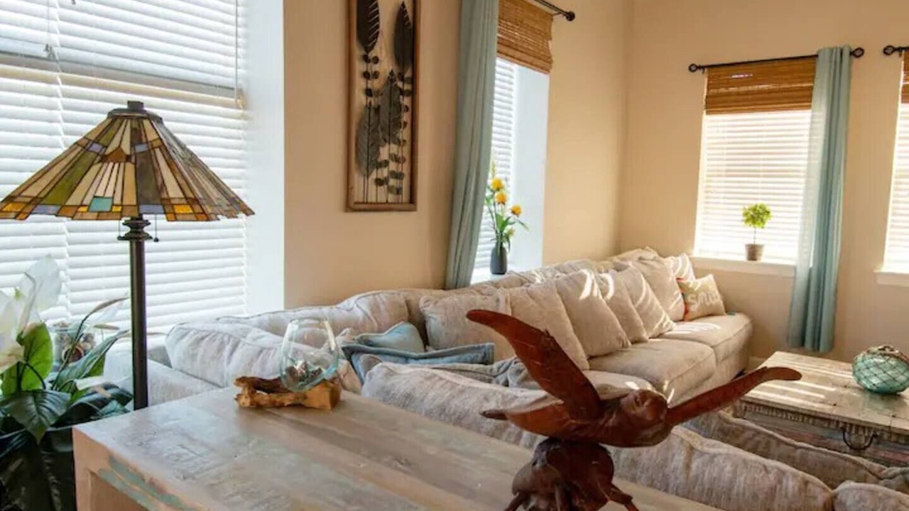 Photo of Outdoor in Palm Harbor