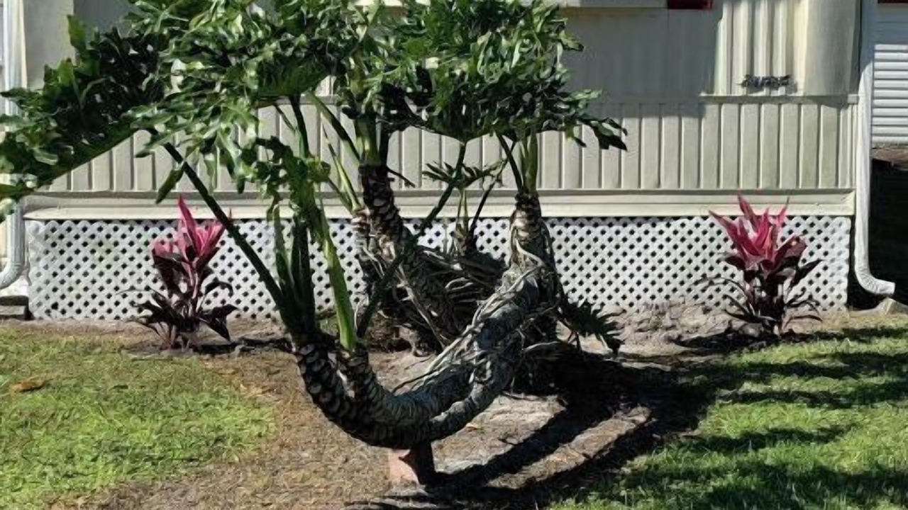 Photo of Outdoor in Lakeport