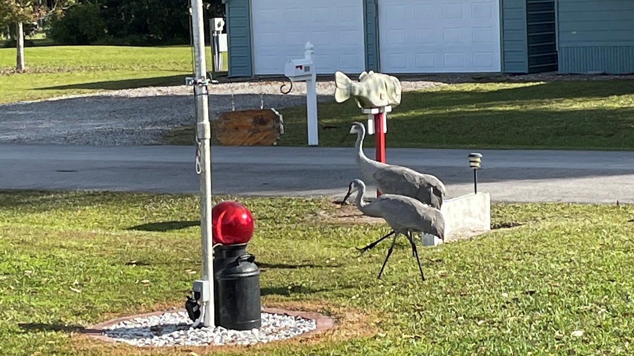 Photo of Others in Lakeport