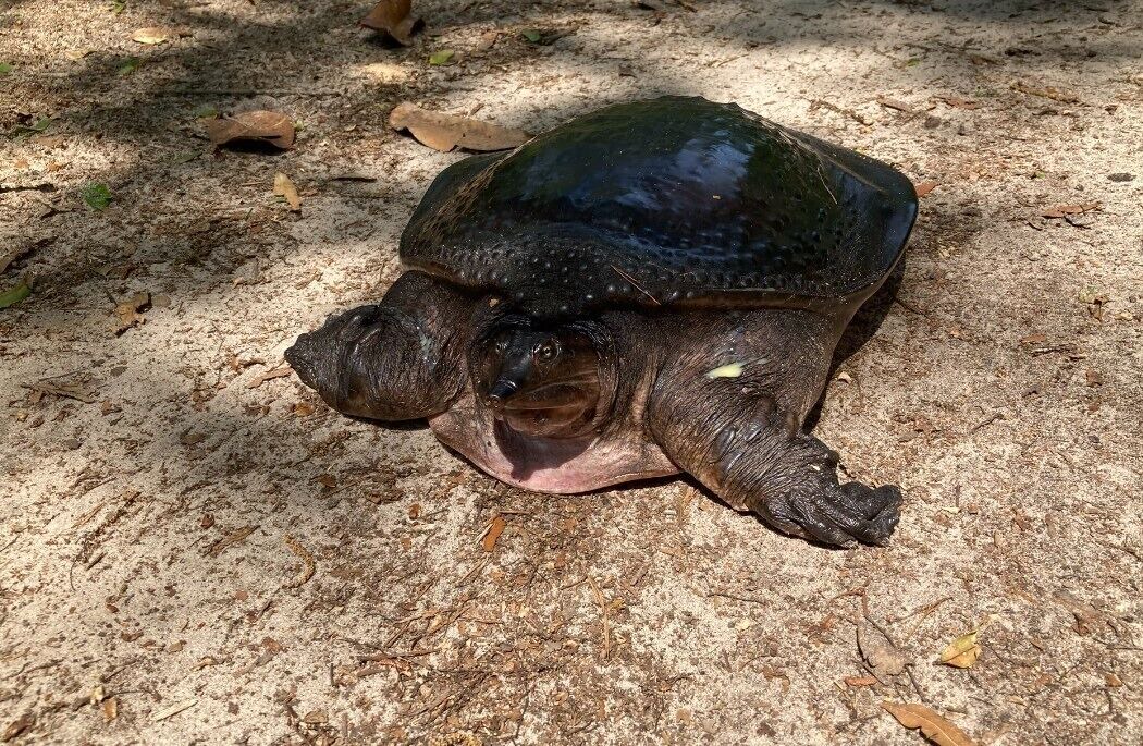 Photo of Others in Tallahassee