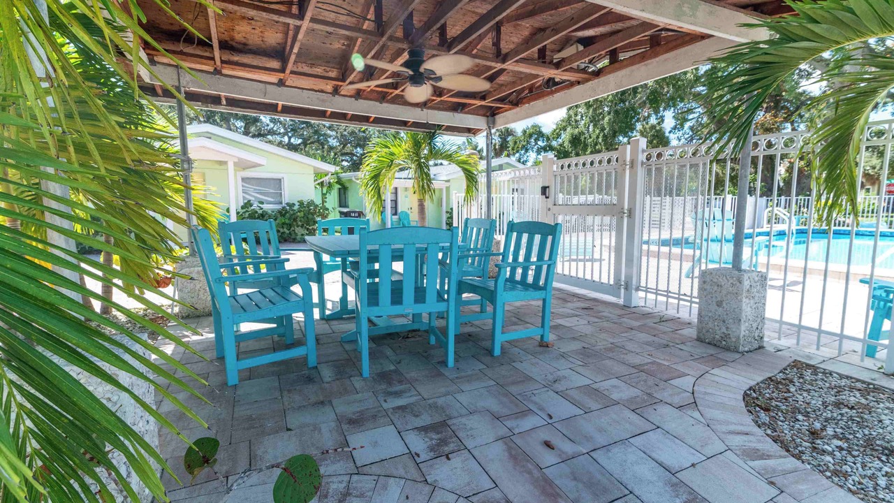 Photo of Outdoor in Safety Harbor