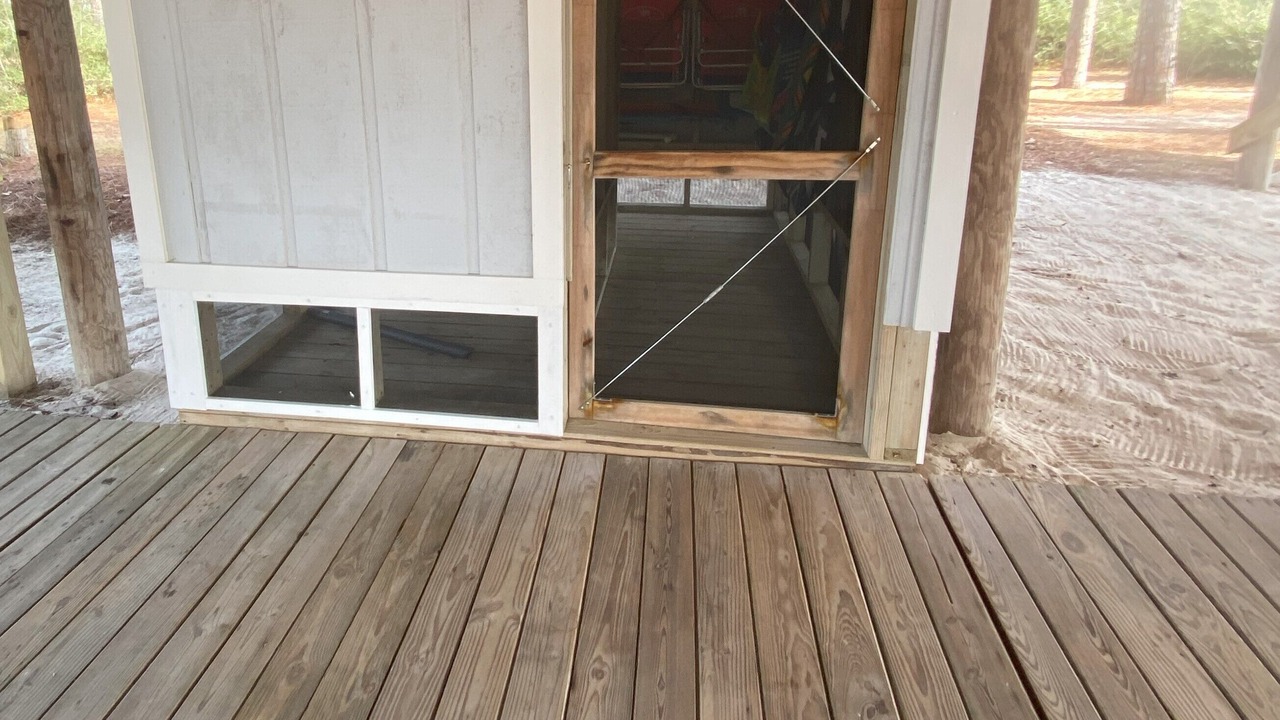 Photo of Outdoor in Alligator Point
