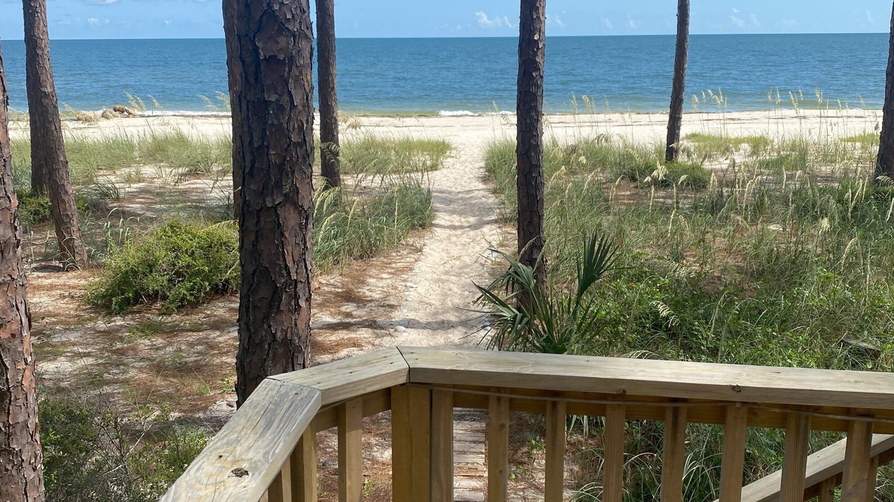 Photo of Others in Alligator Point