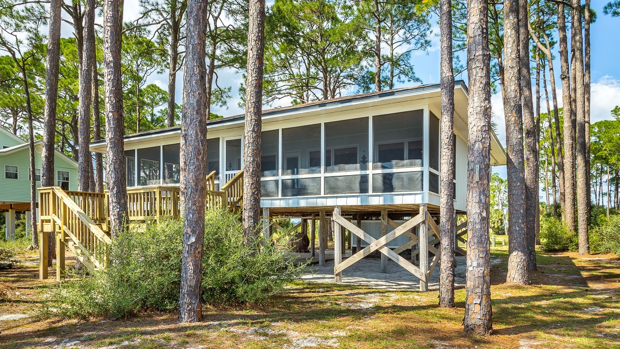 Photo of Outdoor in Alligator Point