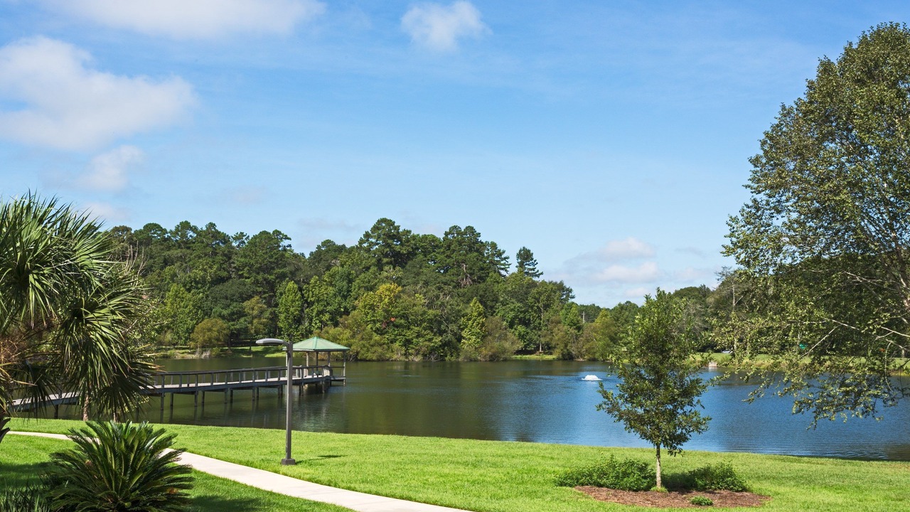 Photo of Others in Tallahassee