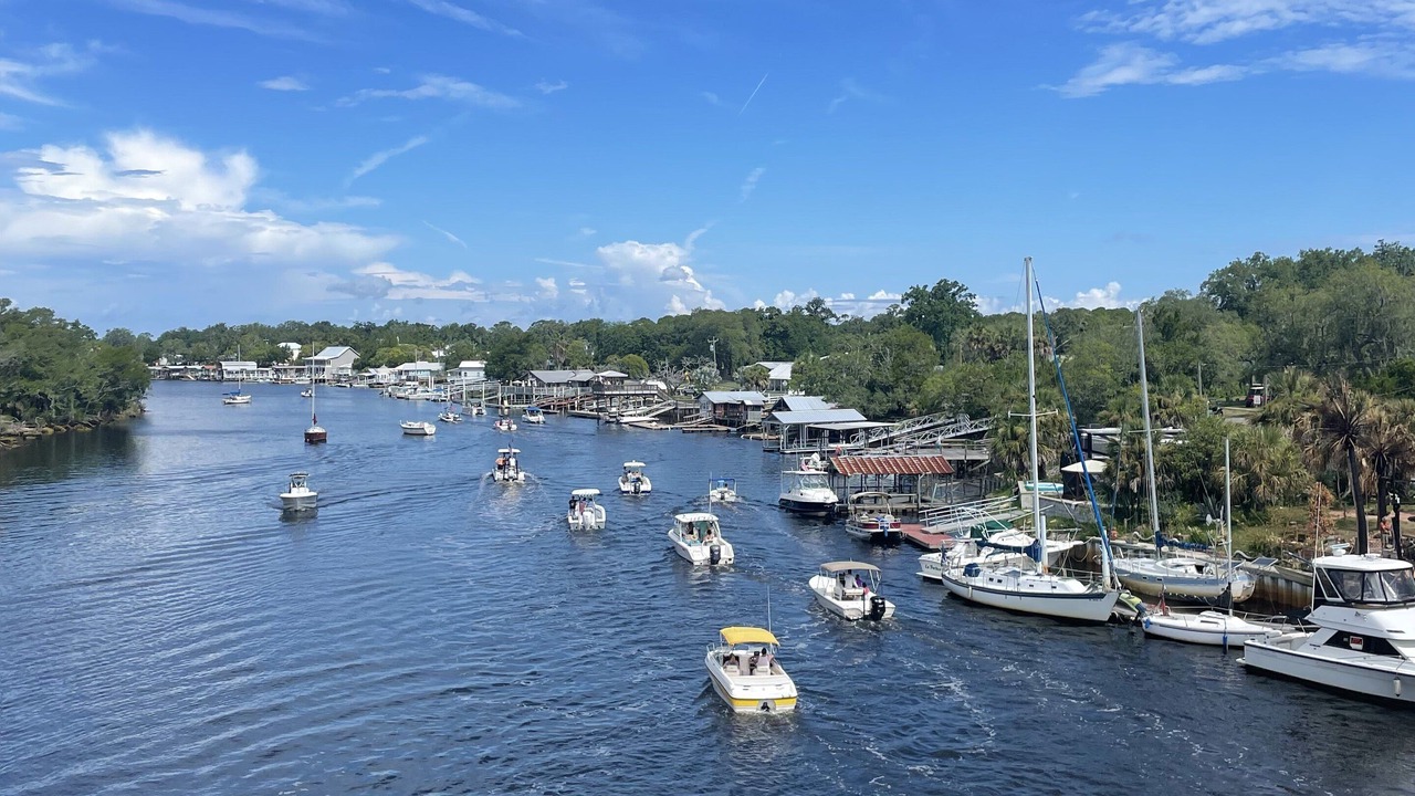 Photo of Others in Steinhatchee