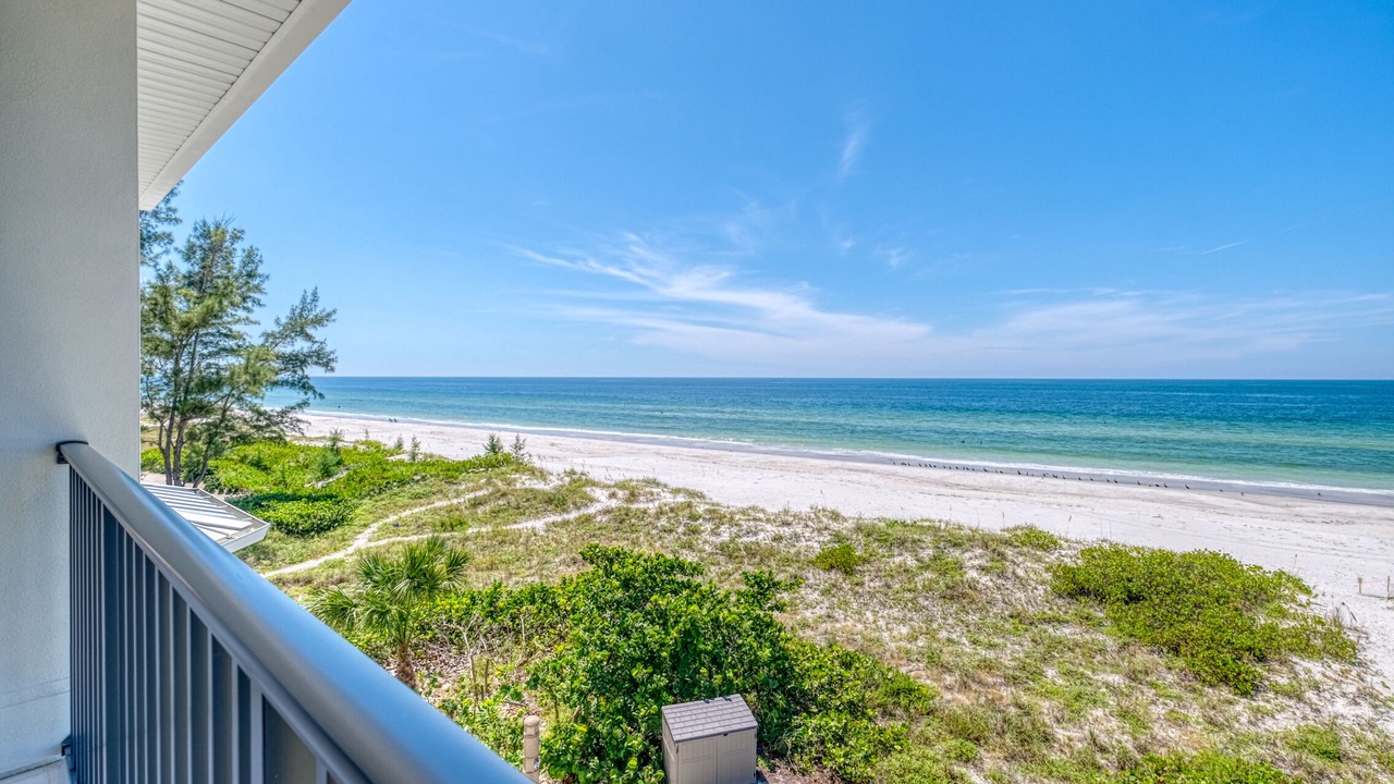 Photo of Outdoor in Indian Shores