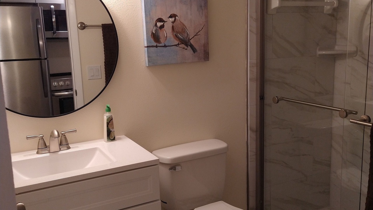 Photo of Bathroom in Lutz