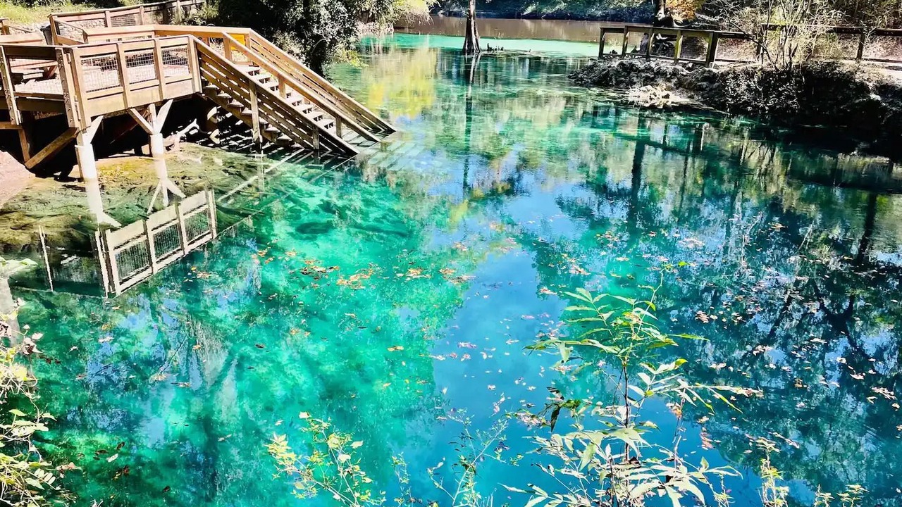 Photo of Others in Boys Ranch