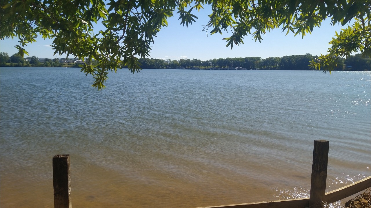 Photo of Others in Winchester