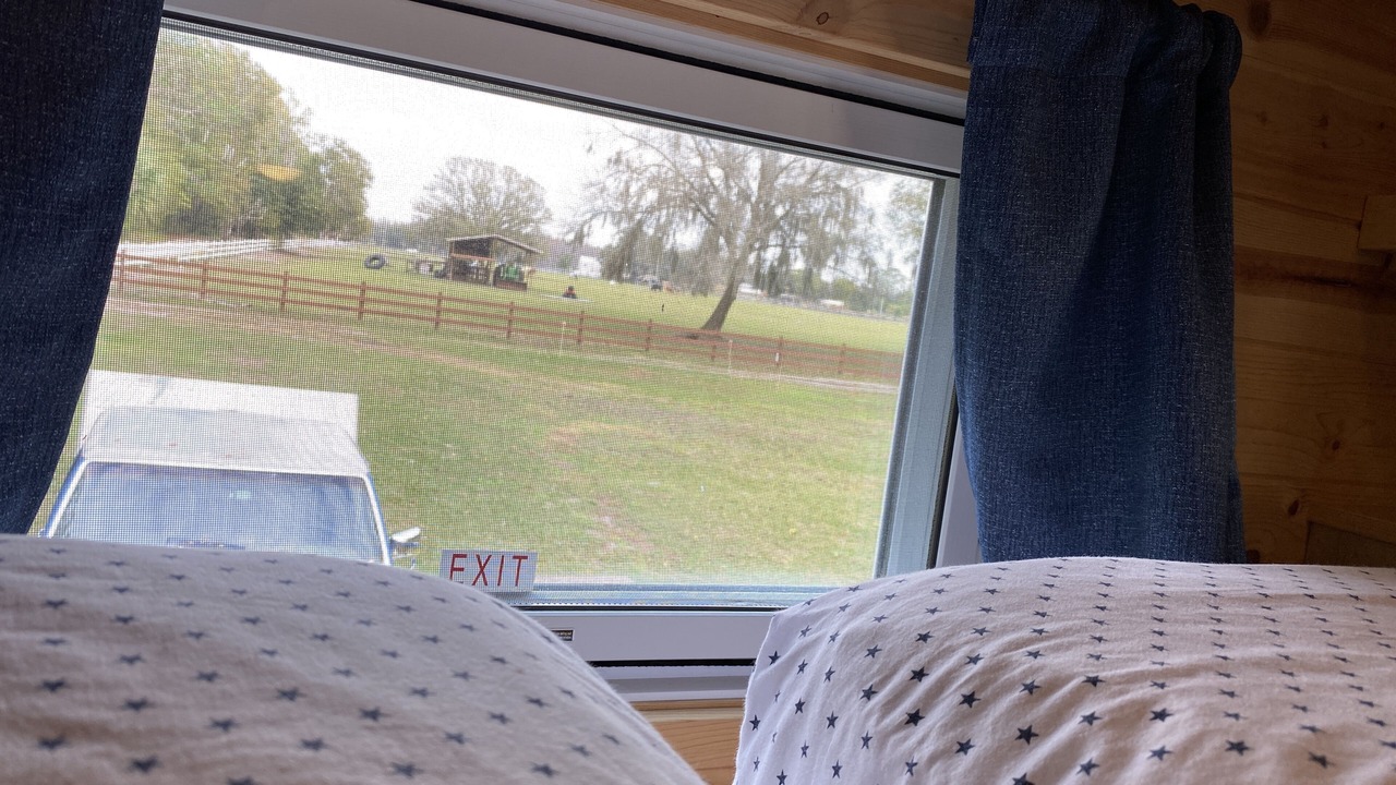 Photo of Bedroom in Lutz