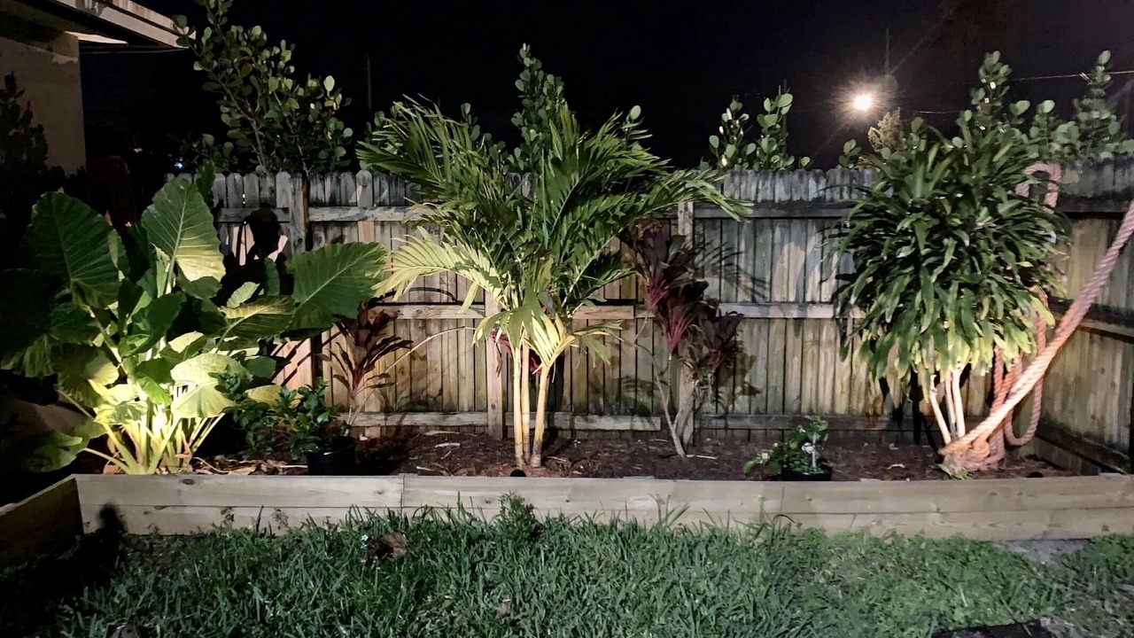 Photo of Outdoor in Royal Poinciana