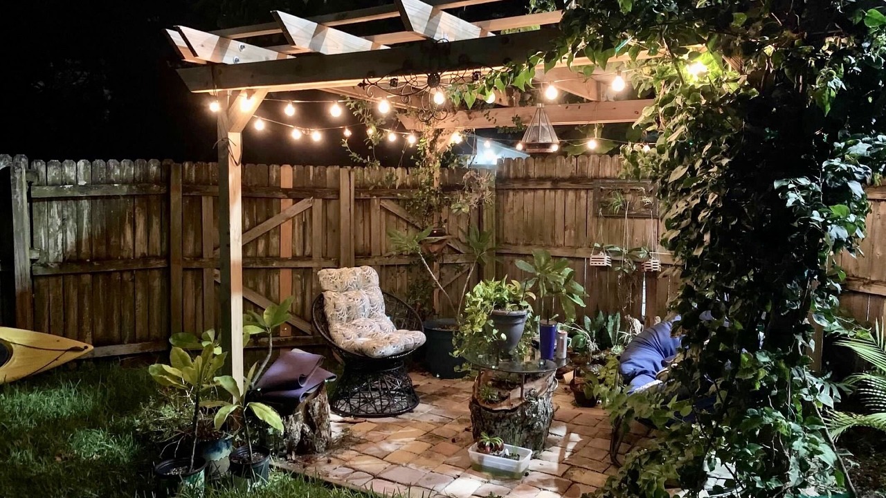 Photo of Outdoor in Royal Poinciana