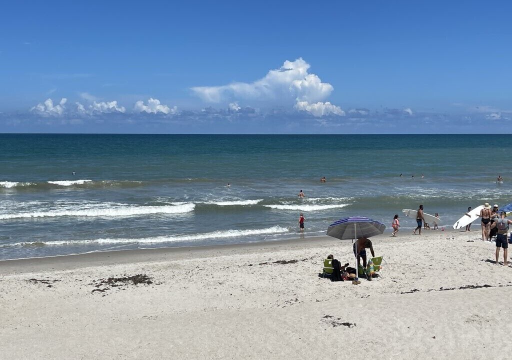 Photo of Others in Seacoast Shores