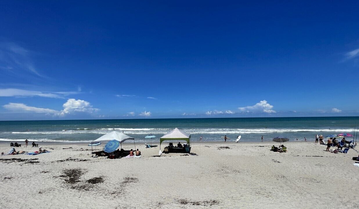 Photo of Others in Seacoast Shores