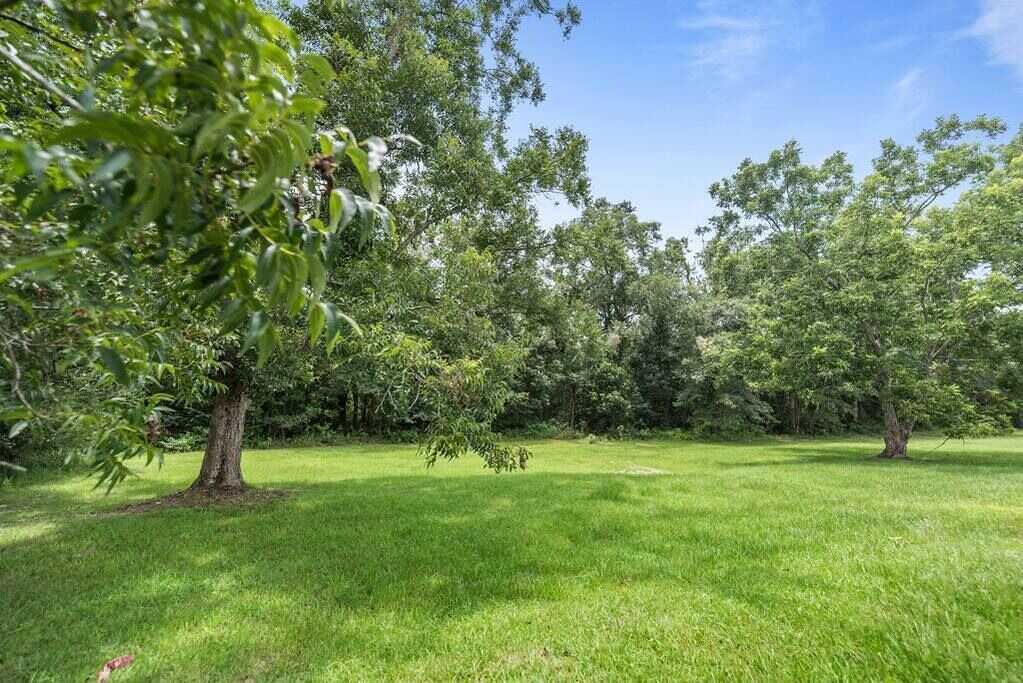 Photo of Outdoor in Grand Bay