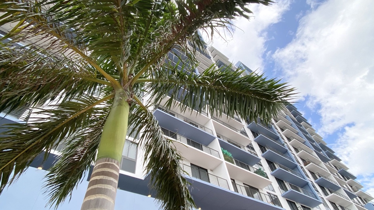 Photo of Outdoor in Doral