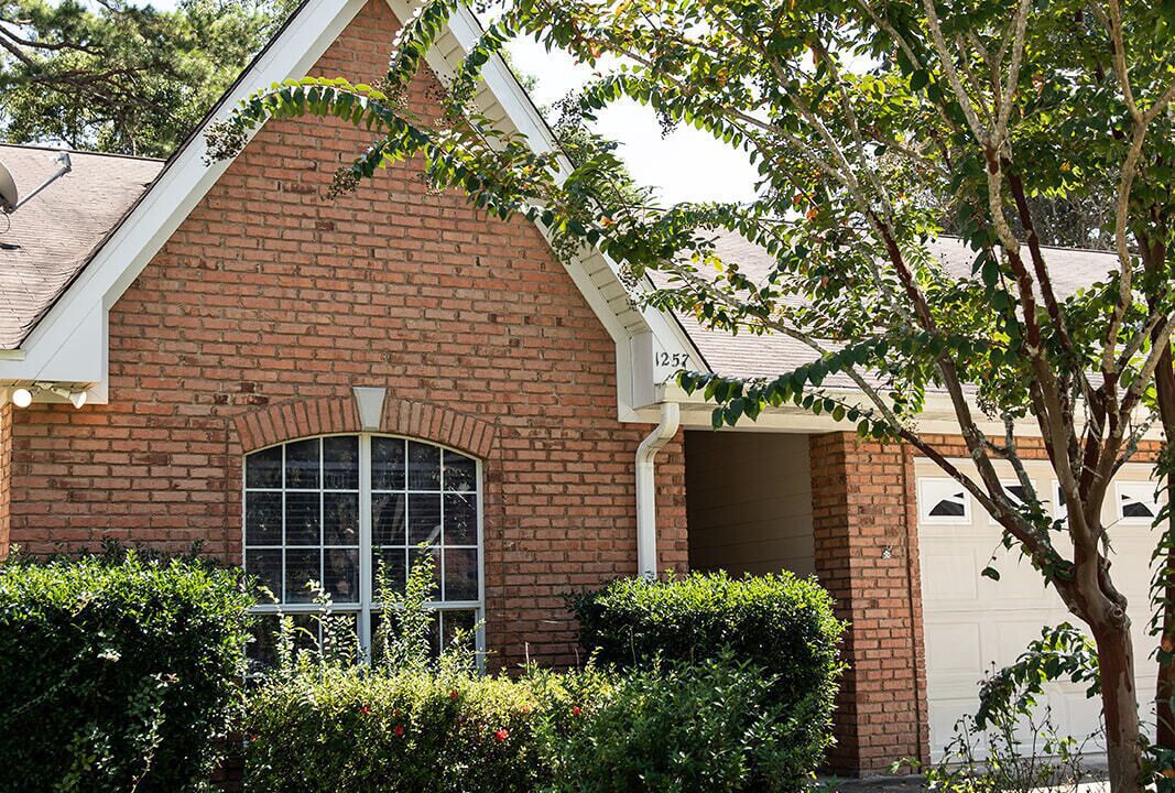 Photo of Outdoor in Tallahassee