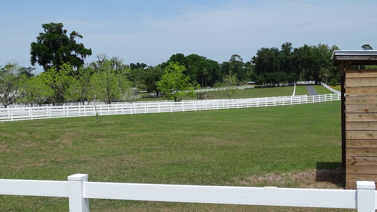 Photo of Outdoor in Citra