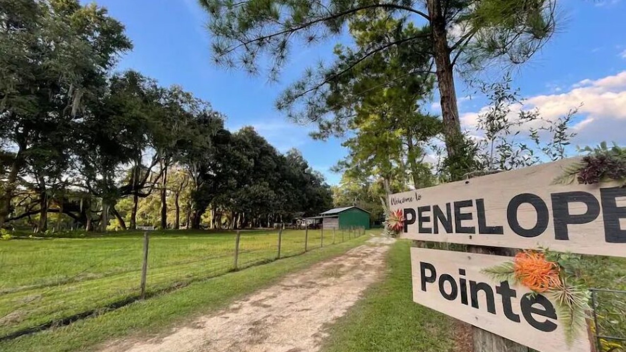 Photo of Outdoor in High Springs