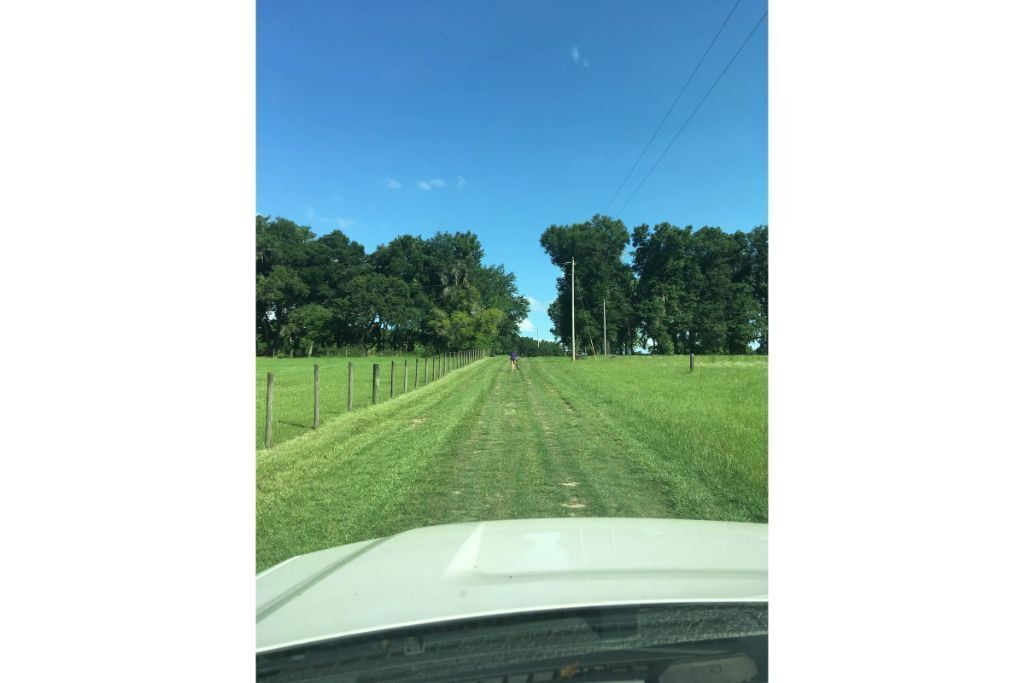 Photo of Outdoor in High Springs