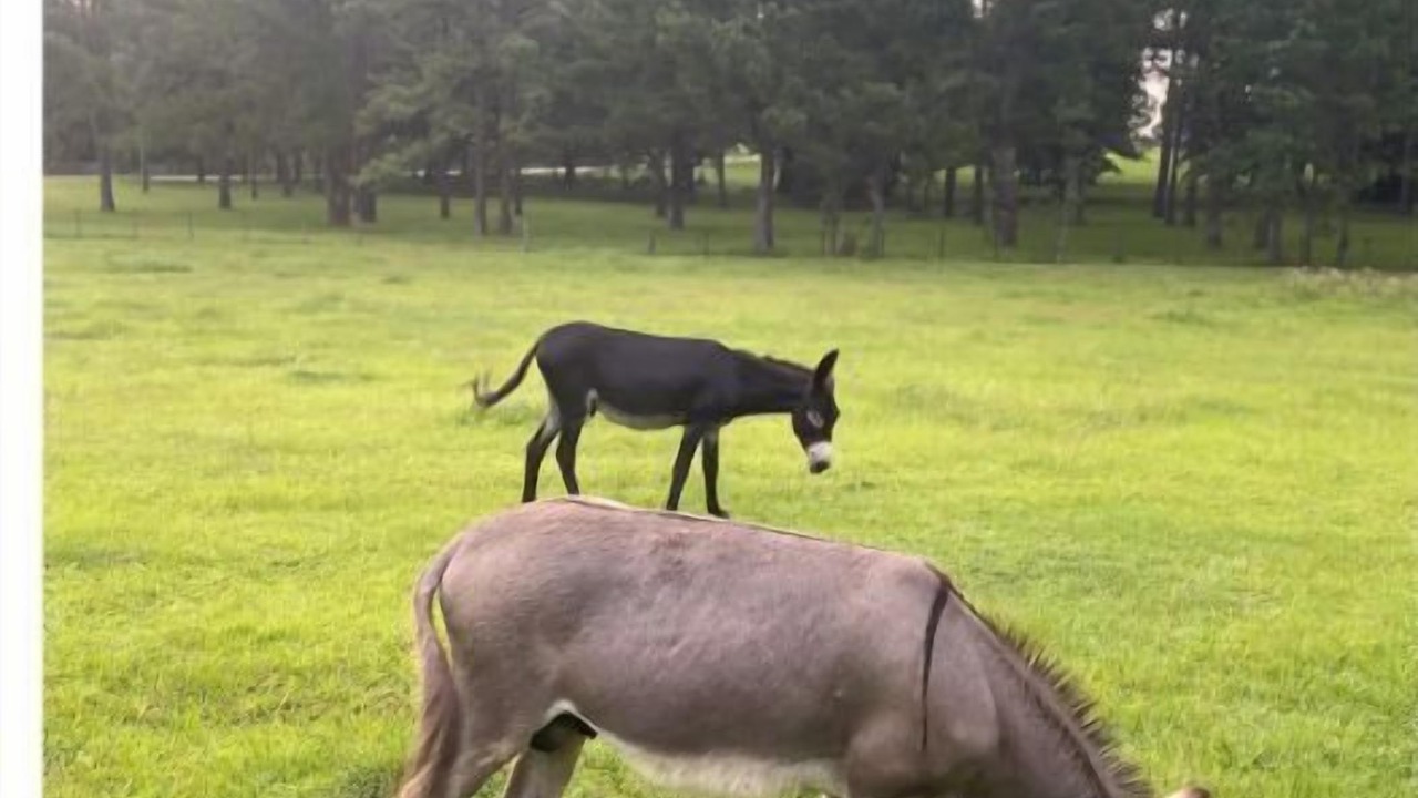 Photo of Outdoor in High Springs