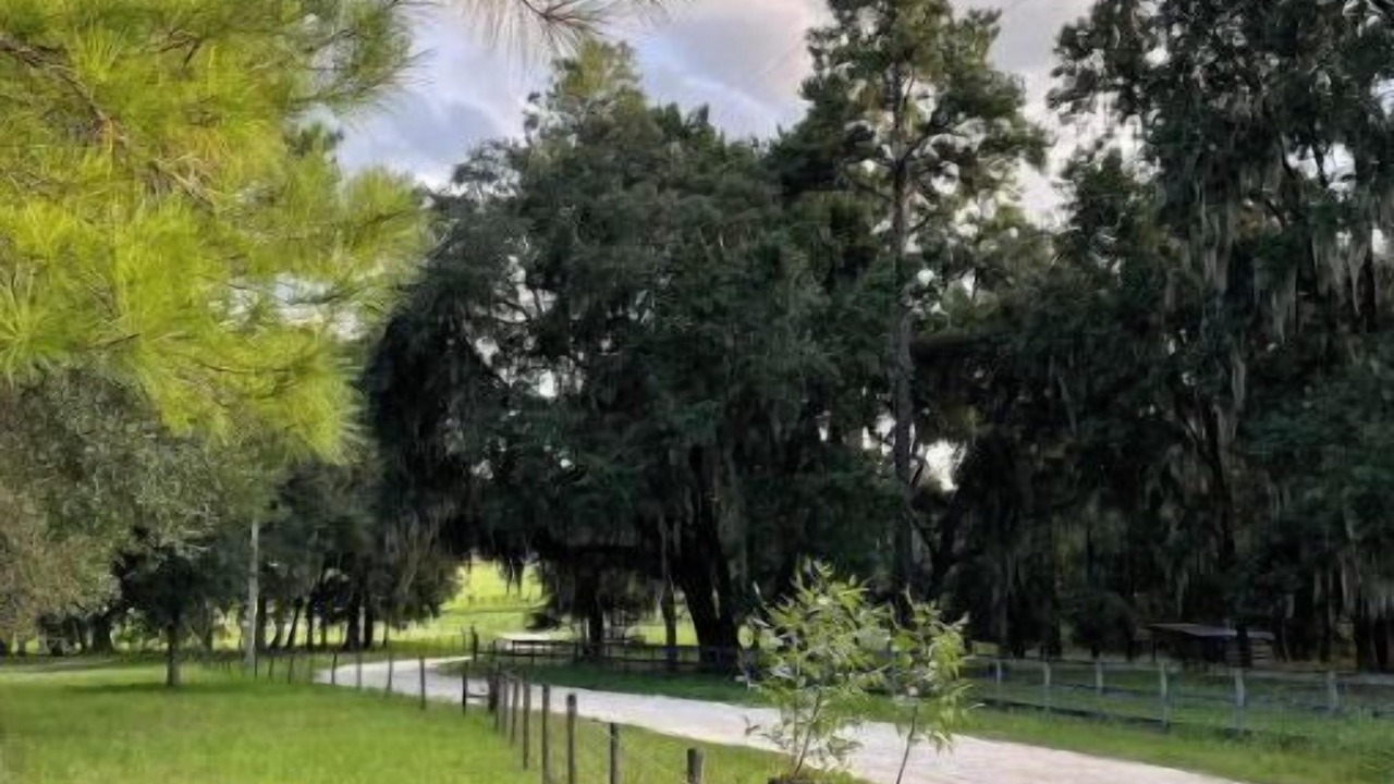Photo of Outdoor in High Springs