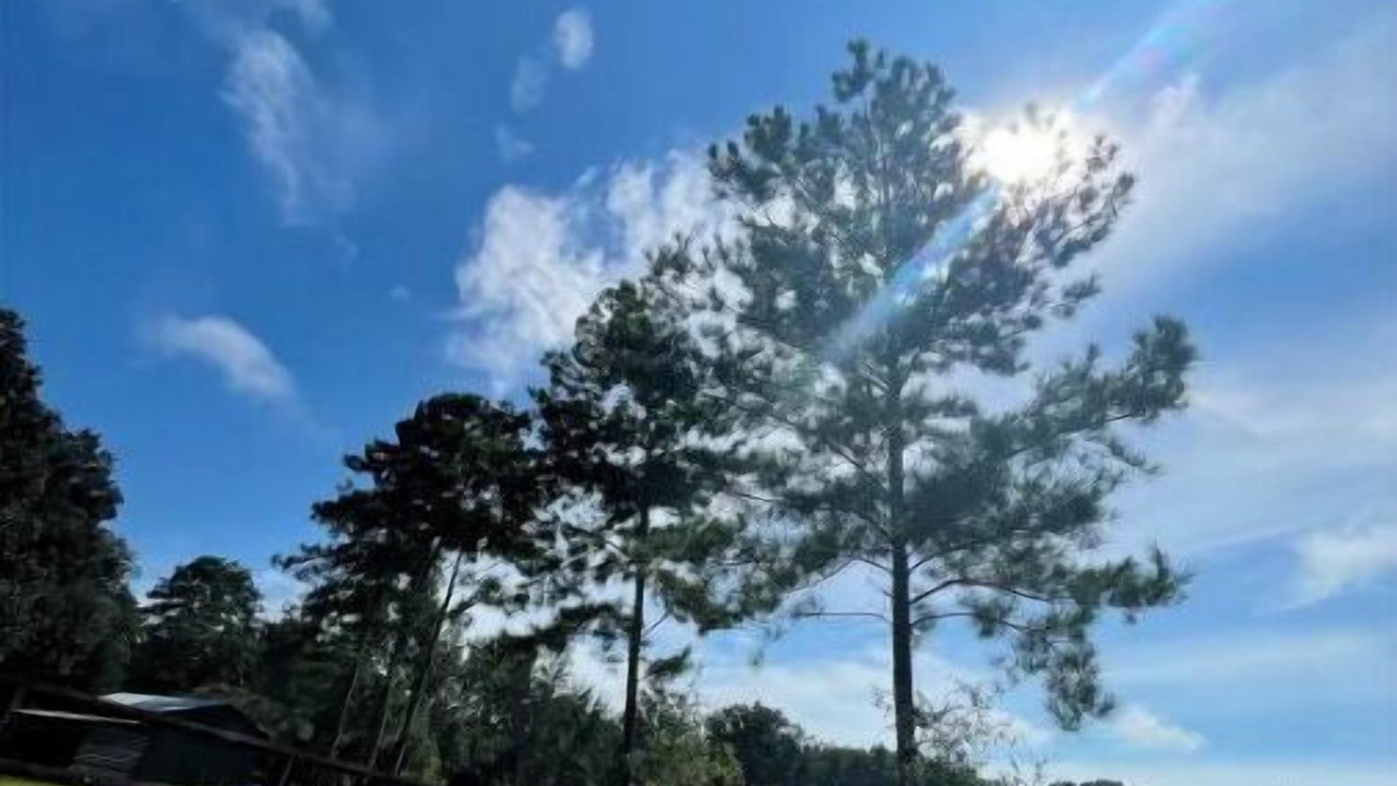 Photo of Outdoor in High Springs