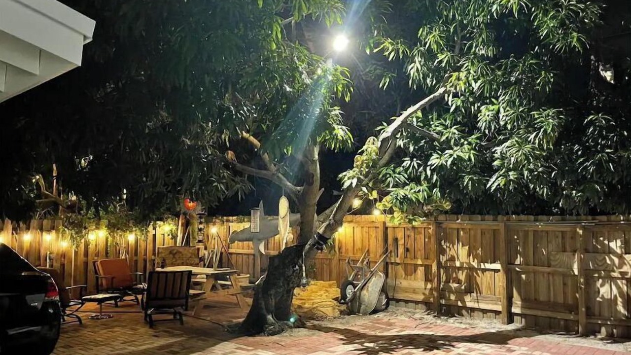 Photo of Patio Balcony in Poinsettia Heights