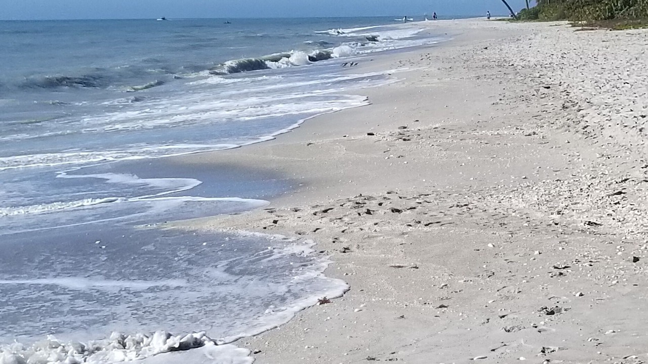 Photo of Others in Fort Myers