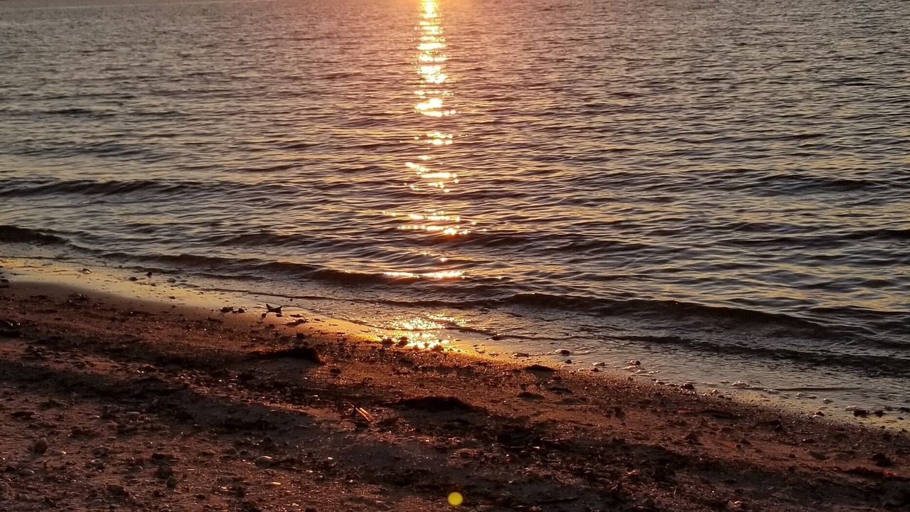 Photo of Others in Fort Myers