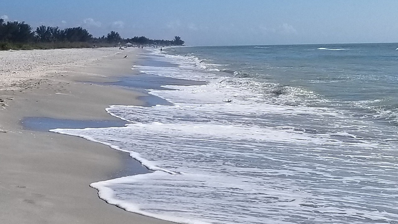 Photo of Others in Fort Myers