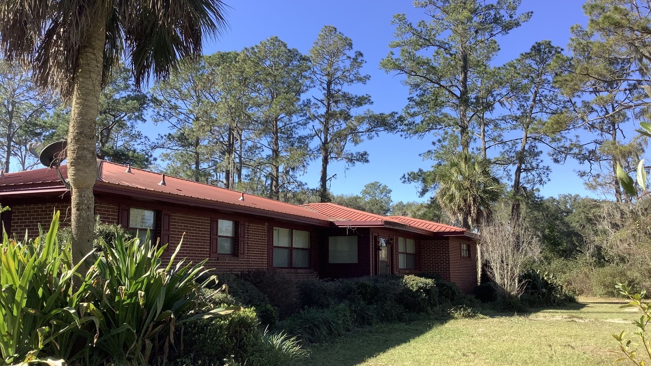 Photo of Outdoor in Live Oak