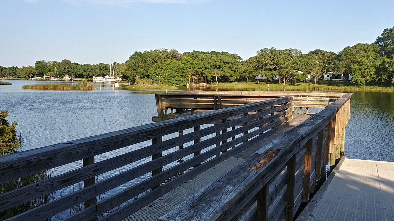 Photo of Others in Pensacola