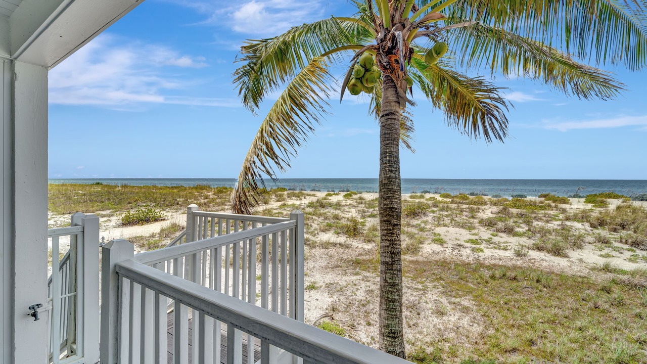 Photo of Outdoor in Palm Island