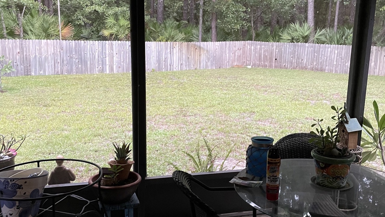 Photo of Outdoor in Sandalwood
