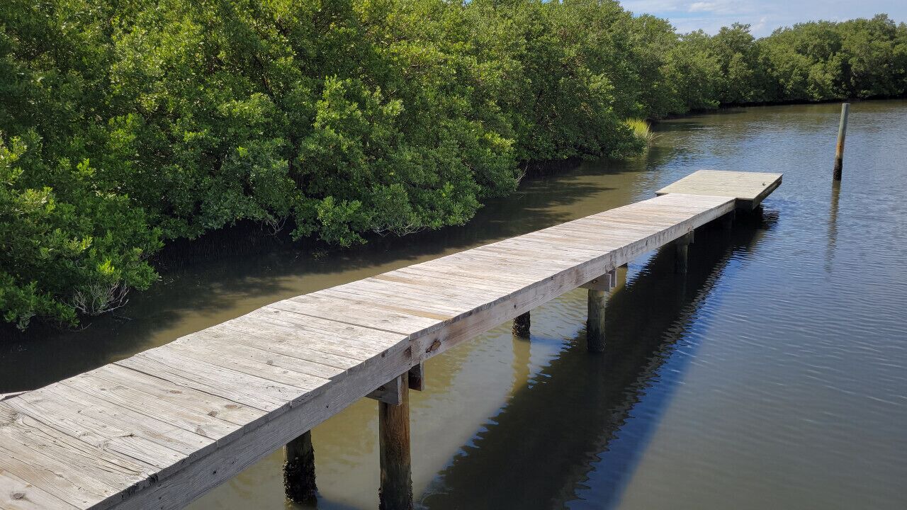 Photo of Others in Cedar Key