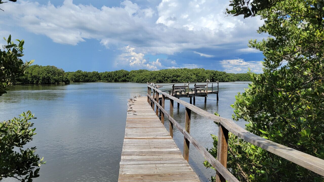 Photo of Others in Cedar Key