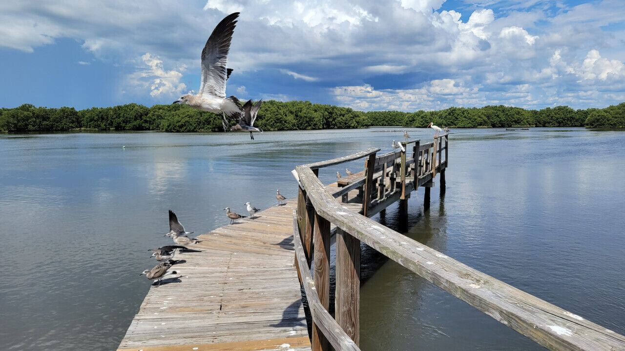 Photo of Others in Cedar Key