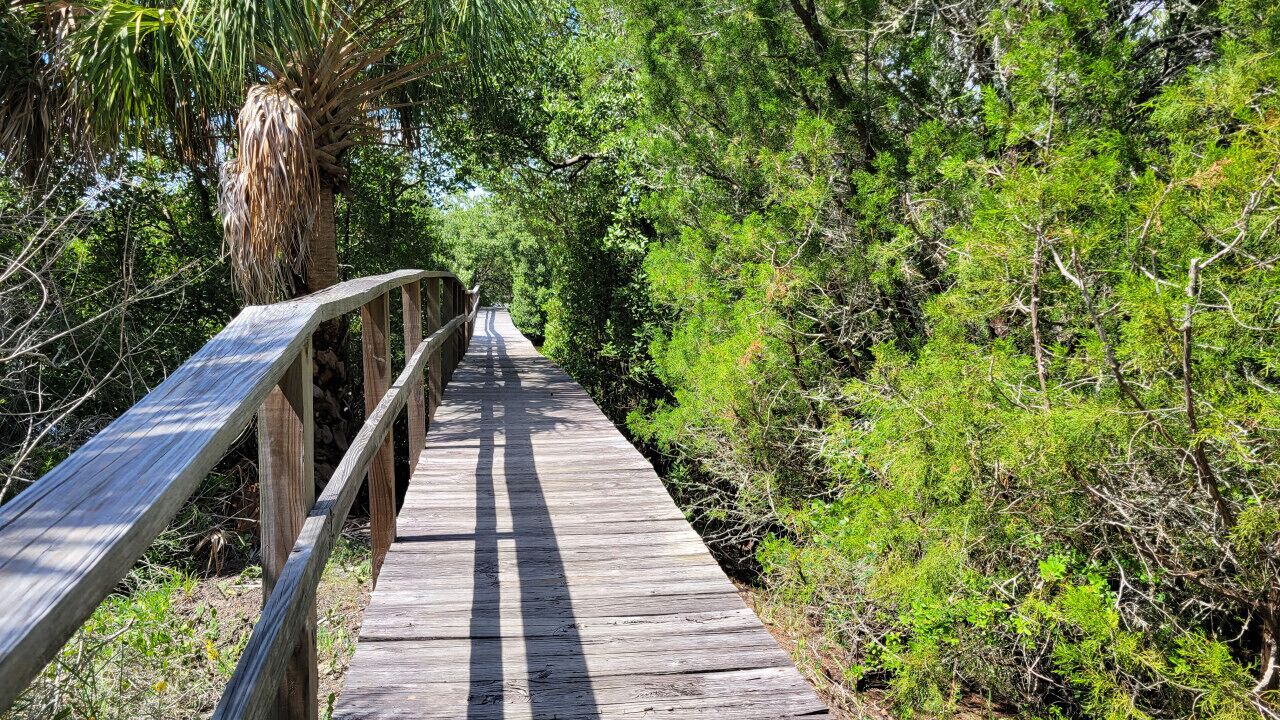 Photo of Others in Cedar Key