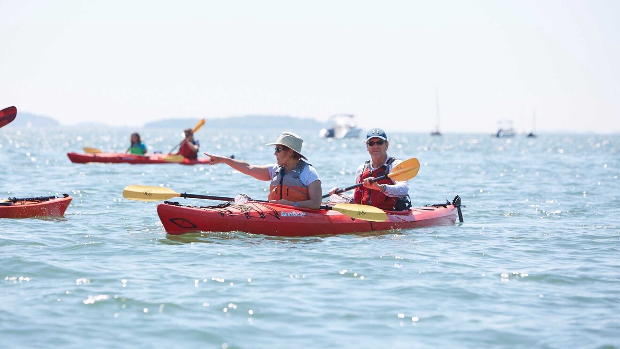 Photo of Others in Doctors Inlet