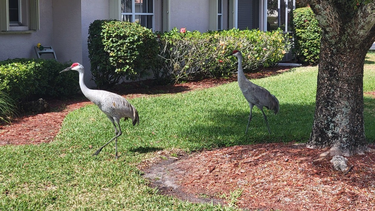 Photo of Outdoor in Herons Glen