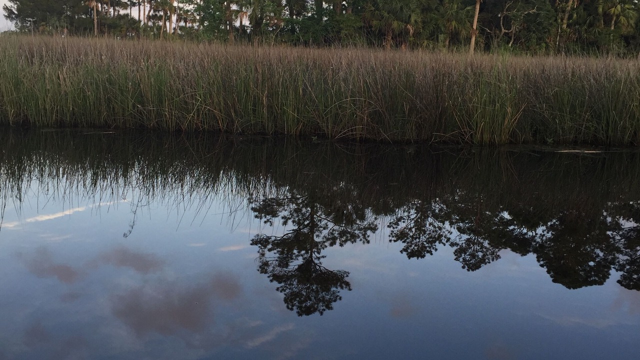 Photo of Others in Apalachicola