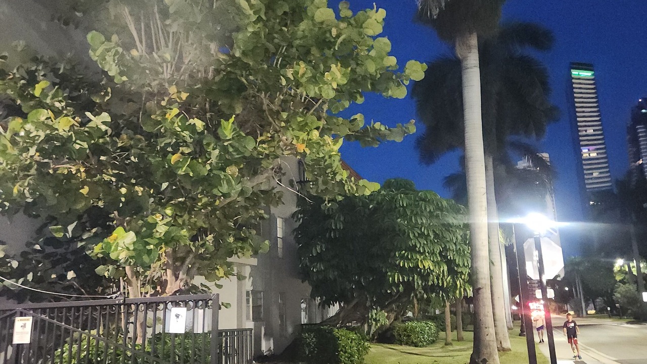 Photo of Outdoor in Sunny Isles Beach