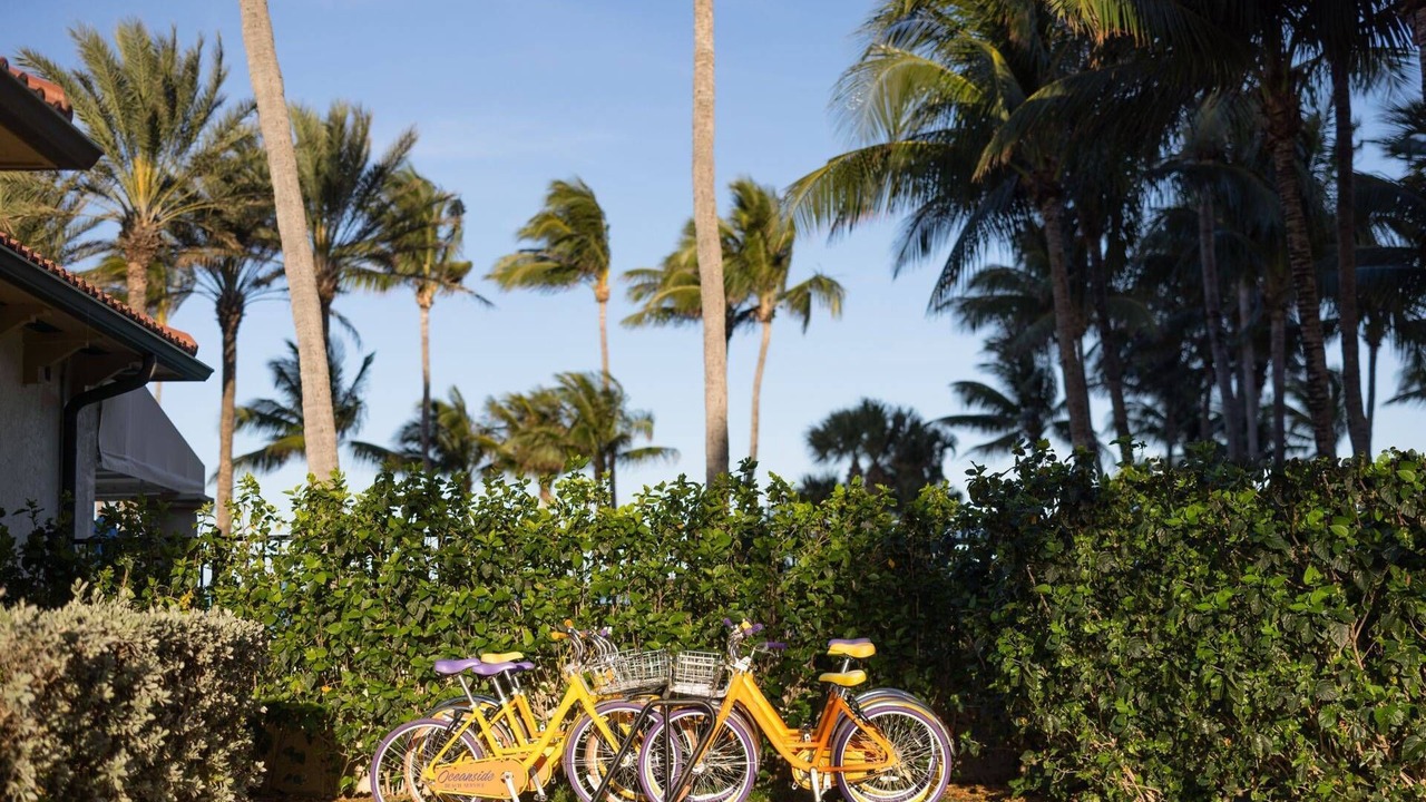 Photo of Others in Palm Beach Shores