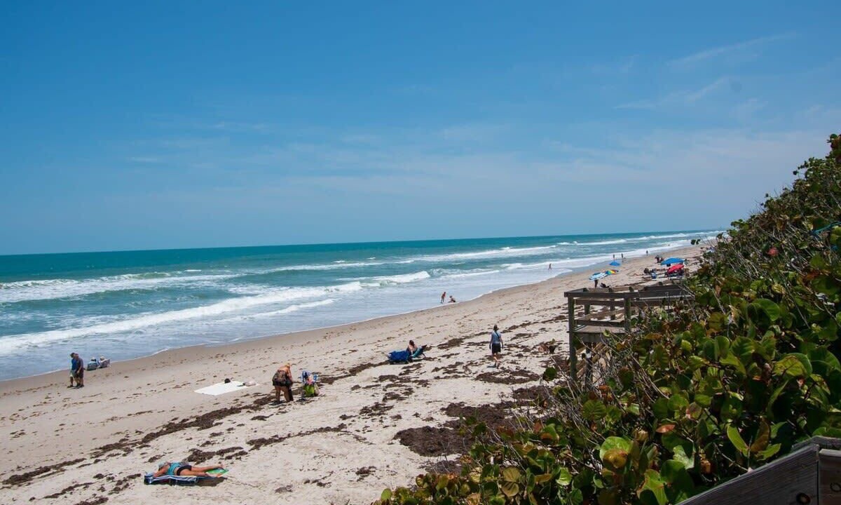 Photo of Others in Indian Harbour Beach