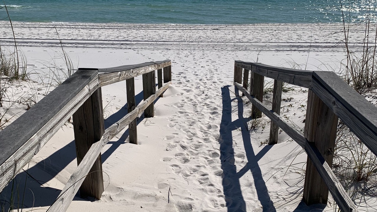 Photo of Others in White Sands