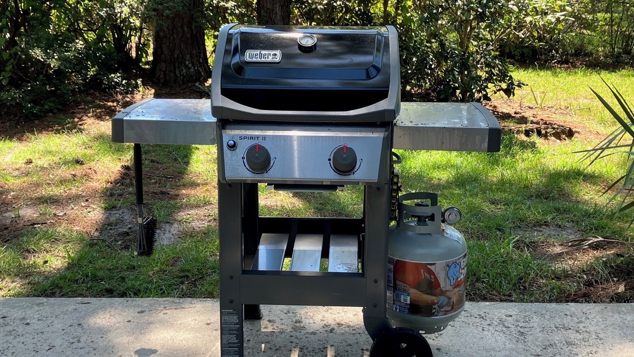 Photo of Outdoor in Gainesville